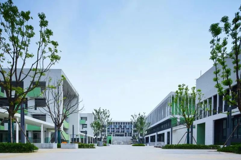 南京外国语仙林分校华侨城小学,南京仙林分校华侨城小学怎么样