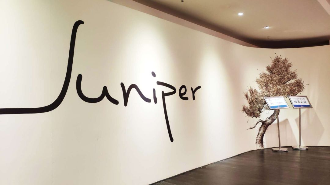 24小时放题,带你到工厂选家具