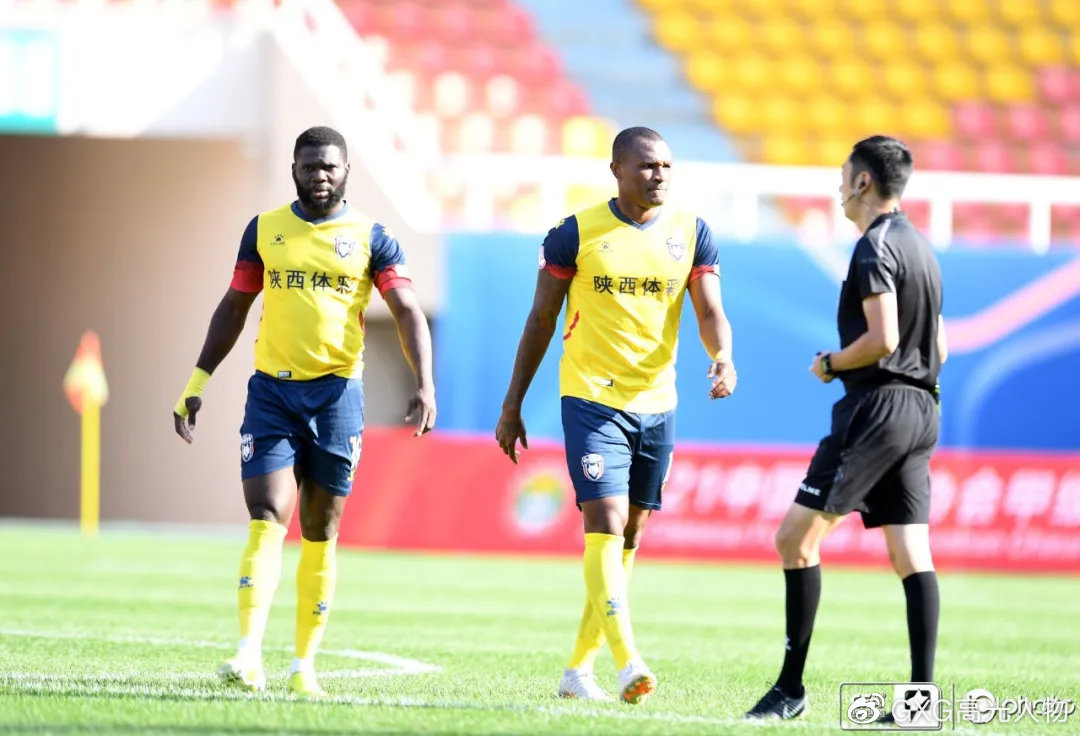 西北狼vs西伯利亚狼,西北狼vs犀牛