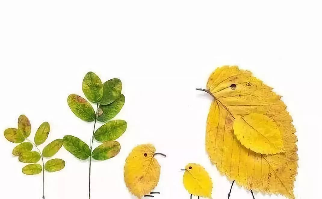 来泰国留学你需要知道什么,在泰国留学需要了解的一些常识