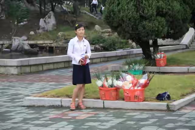 63张照片看朝鲜,朝鲜免费住宅图片