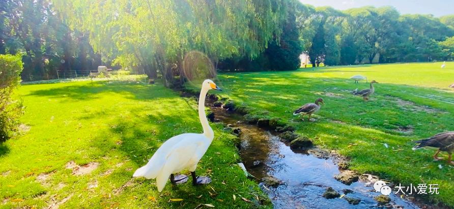 北京特色小庄园,北京哪的庄园好看又好玩