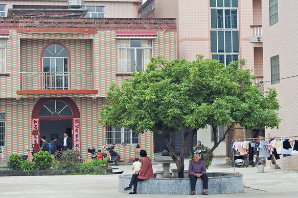 广西低调土豪村，多位“经济能人”返乡发展，引导村民走向富裕