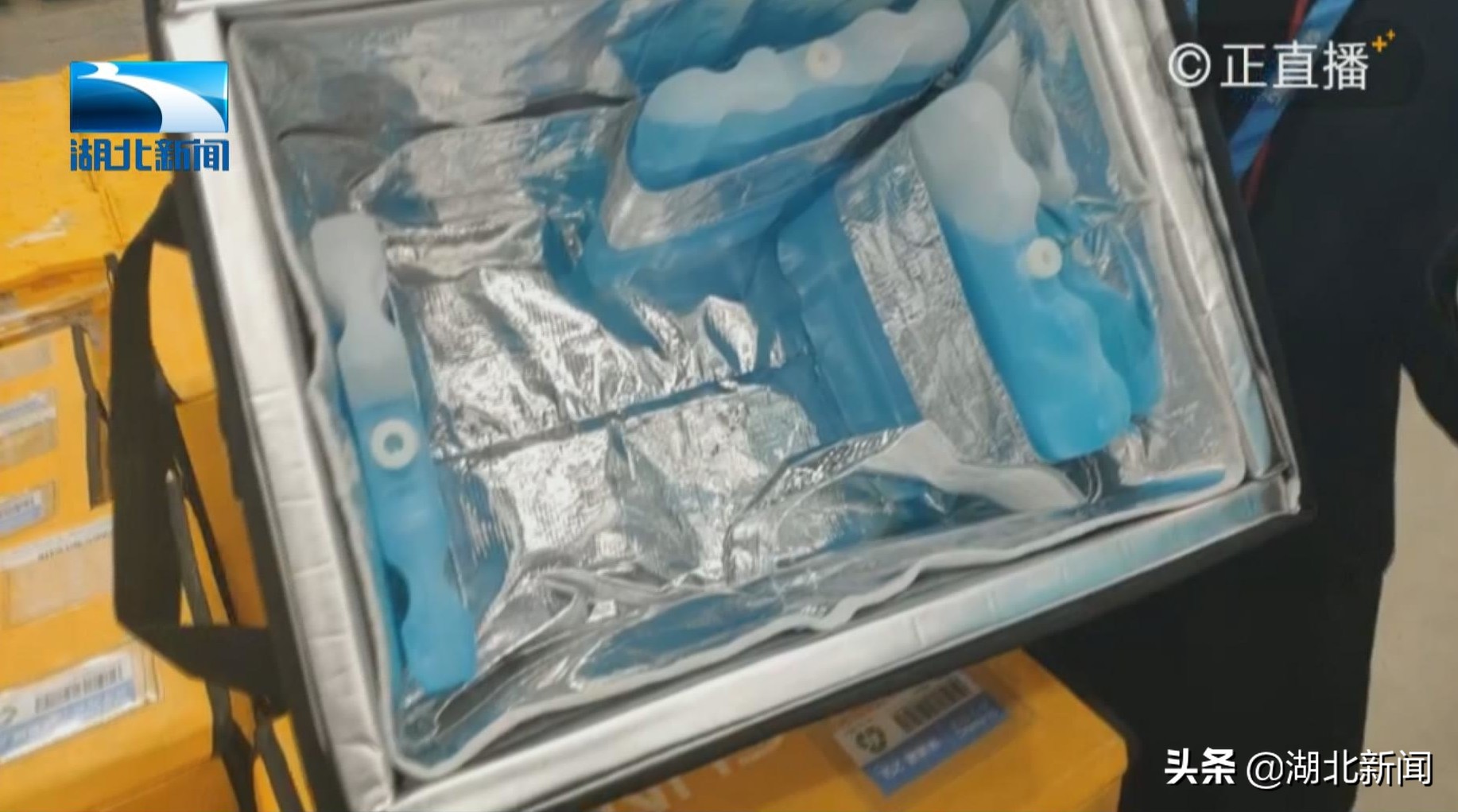 这种黄色的快递盒，一年能省下两座“小兴安岭”？你信吗？