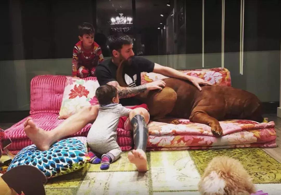 梅西c罗内马尔住处,梅西c罗贝克汉姆谁成就高