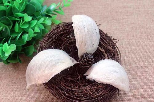 燕窝黑点怎样挑毛最快,燕窝毛怎么挑视频教程