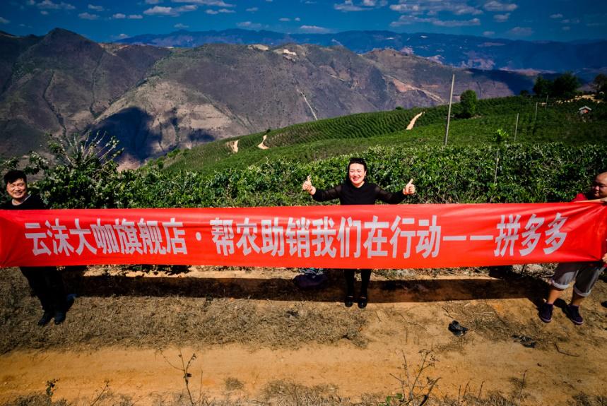 收17元卖1567元，云南咖农苦不堪言，拼多多用这方法帮了农民大忙