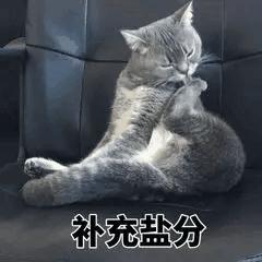 今日表情包第三弹图片,今日表情包收藏