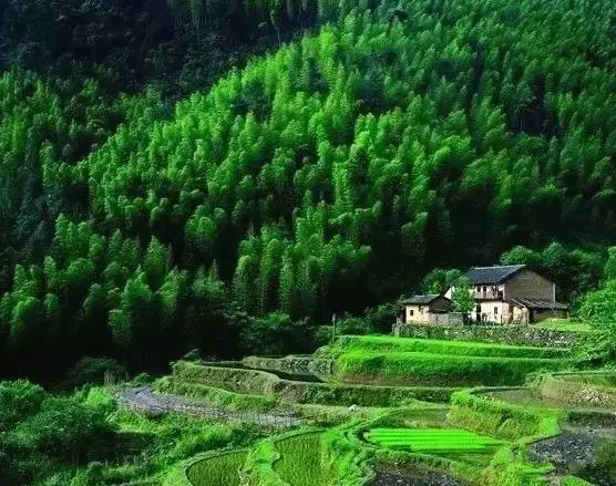 广东居然藏着一个神秘天坑,广东这座小镇藏着多少宝藏