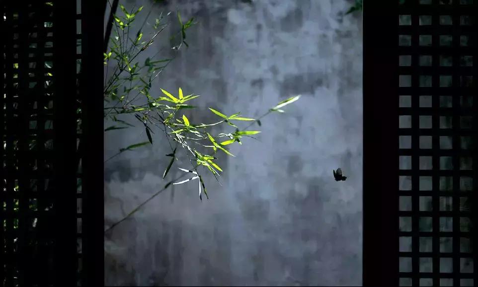 玩是人生最高的境界,玩是一种人生态度