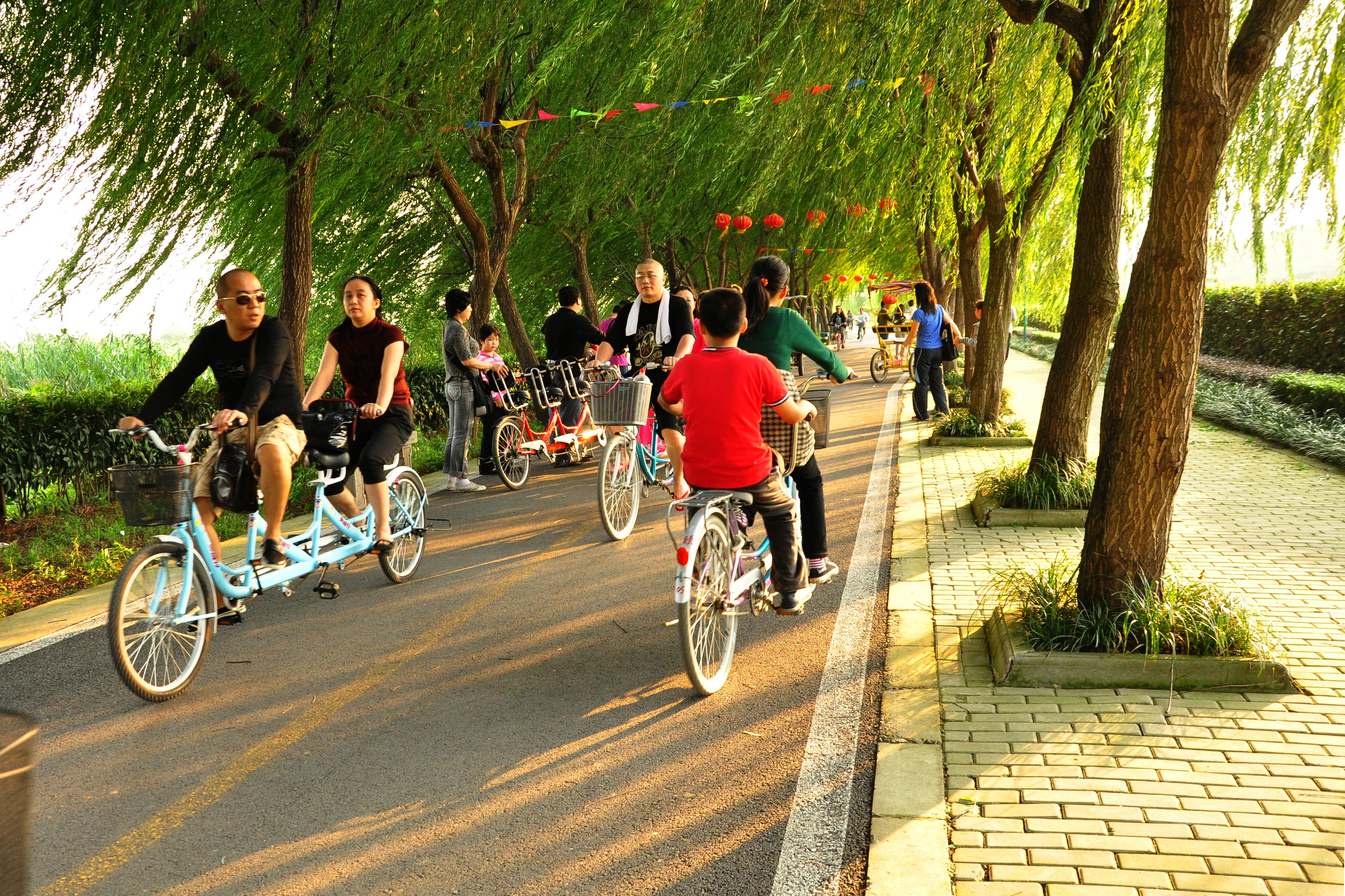 打卡苏州小众岛屿,苏州著名小岛有哪些景点