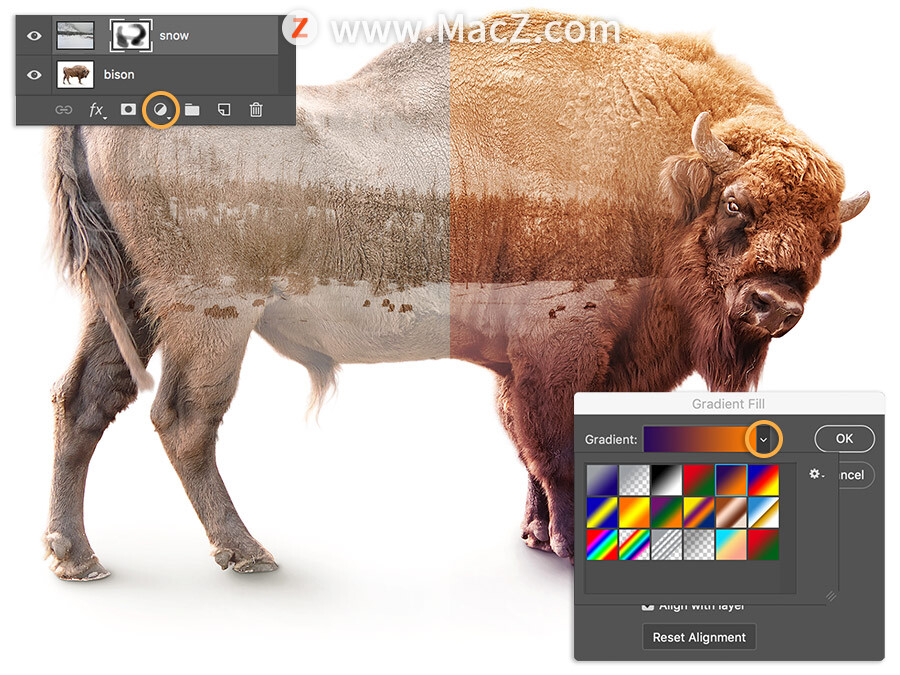 ps中怎么创建选区,ps教程百张相片