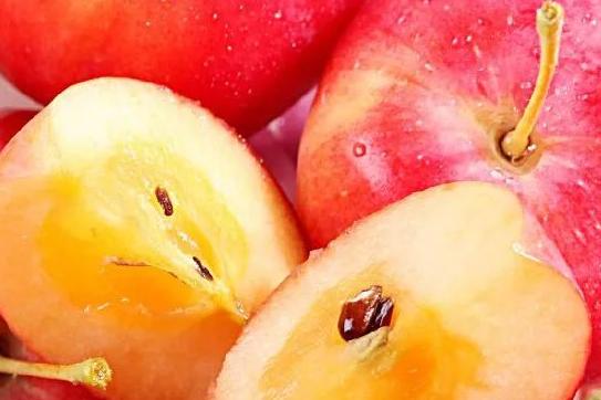 全新疆著名的特产,盘点十大新疆的特产