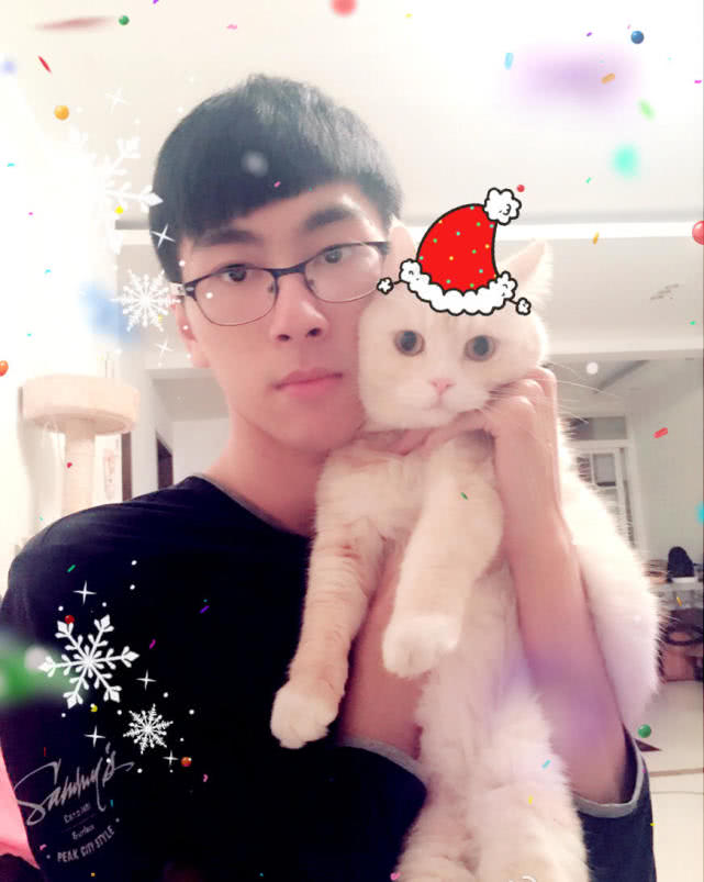 lol孙悟空猴哥视频,lol猴哥猴子视频