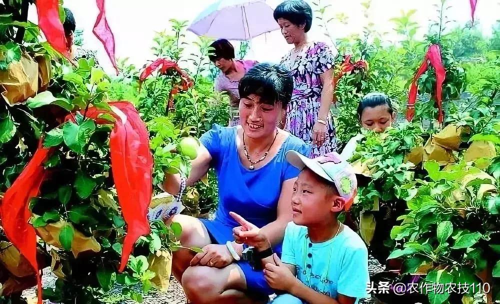 农村一千元小本创业加盟,农村冷门小本创业生意