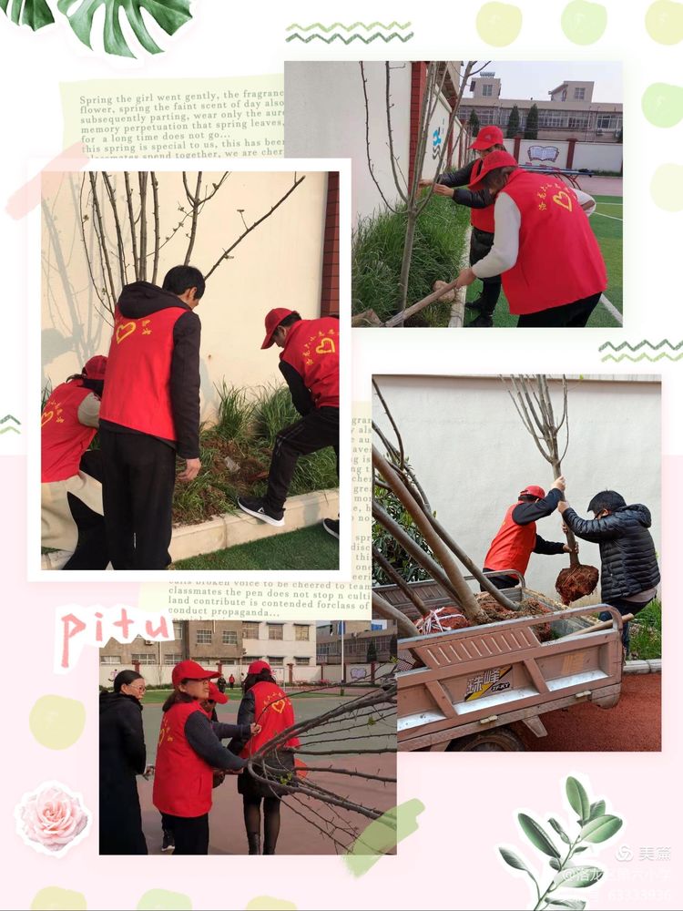 植树节拥抱春天播种绿色放飞希望,2022年植树节主题拥抱春天