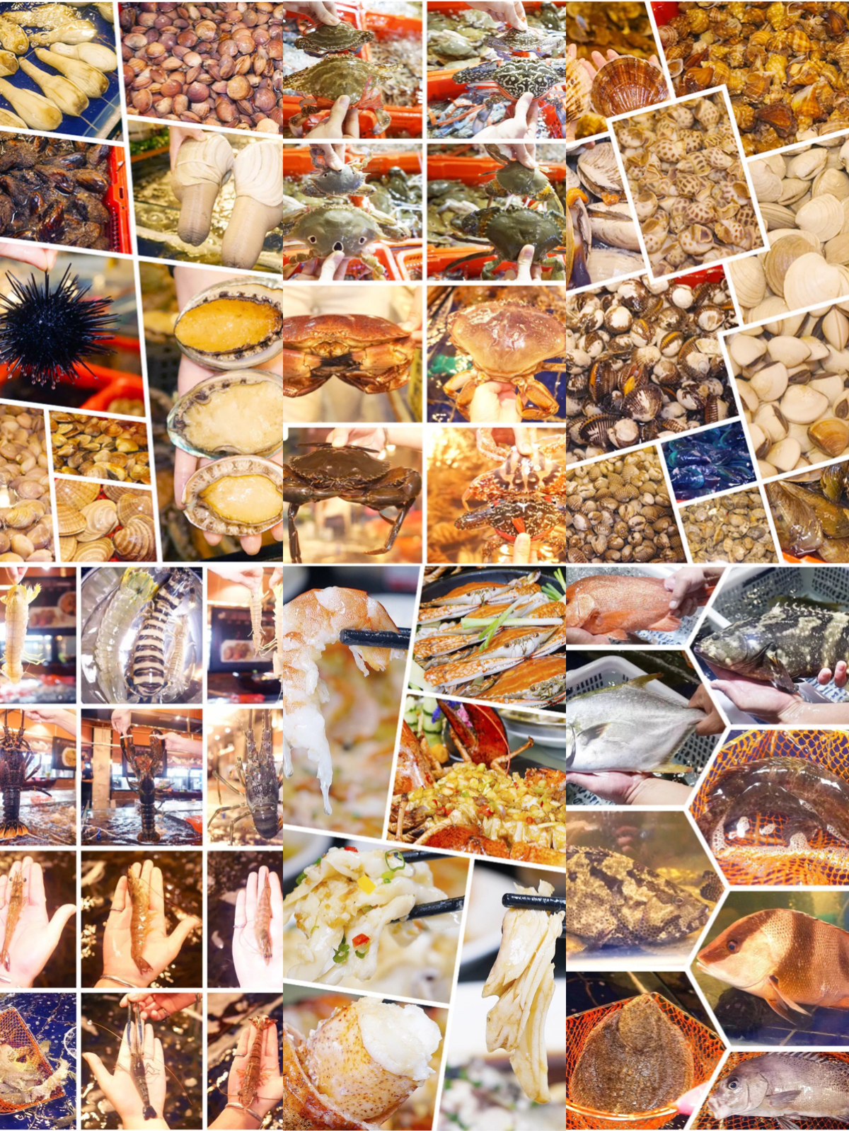 椰林海鲜码头基地,椰林8号海鲜码头团购