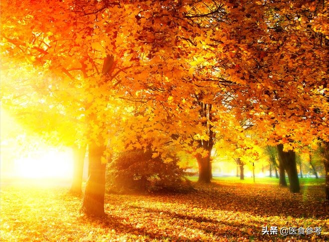 秋天静电是太干燥吗,秋天静电比较明显