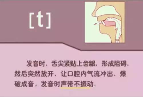 海伦英语48个音标发音视频教程,英语音标48个发音教学视频
