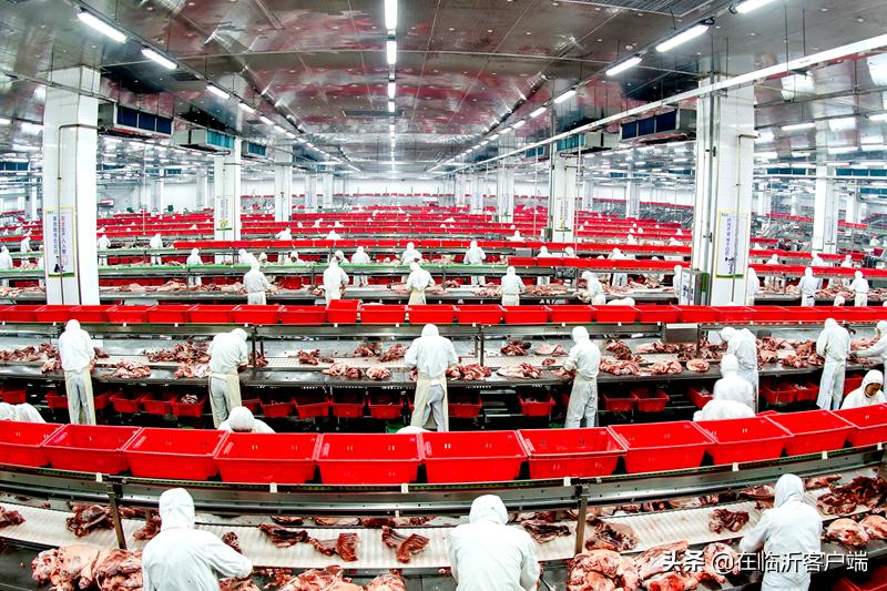 猪命贵！涨价的背后：生猪养殖行业的利润史无前例，屠宰企业赔钱来满足市场供应，屠宰一头猪赔100元左右