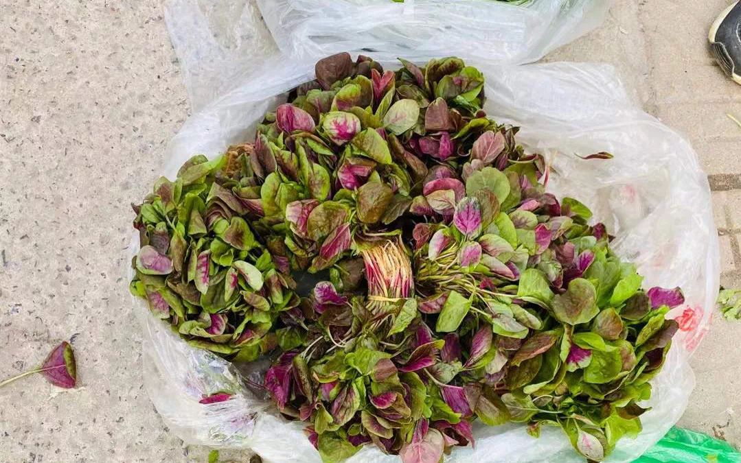 菜市小趣（社会扫描）