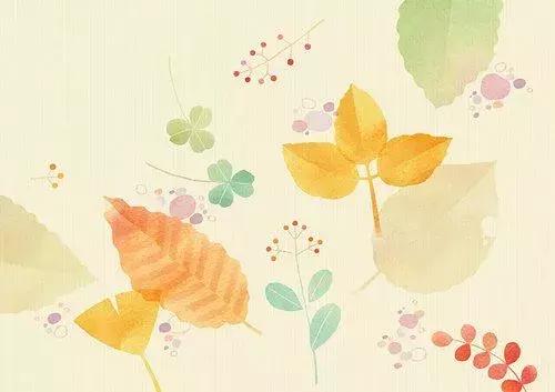 宁可教子猛如狼,宁可教子猛如狼不可教子如绵羊