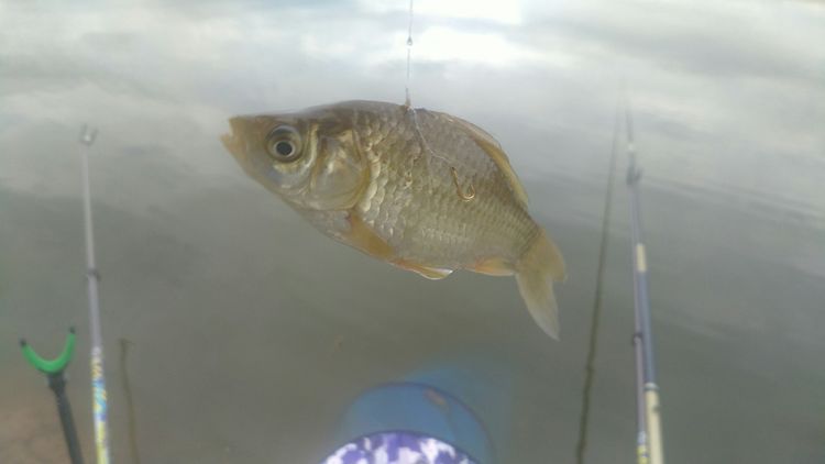 昆明周边露营野钓最佳地方,昆明周边风景优美的野钓地方