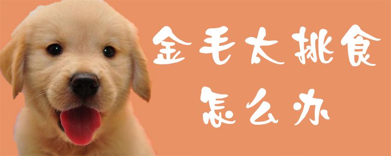 閲戞瘺骞肩姮鎸戦鏈変粈涔堣В鍐崇殑鏂规硶,閲戞瘺鎸戦鏈変粈涔堣В鍐崇殑鏂规硶