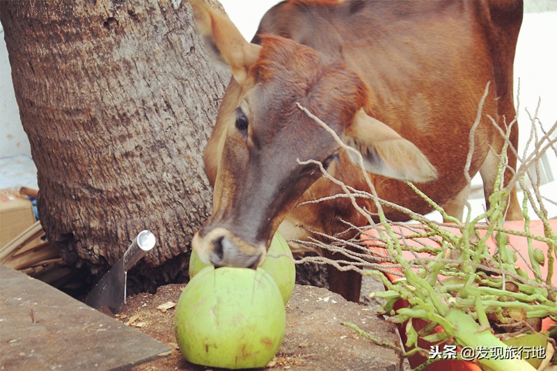 世界三大日落是哪三个,世界三大最美日落兰卡威