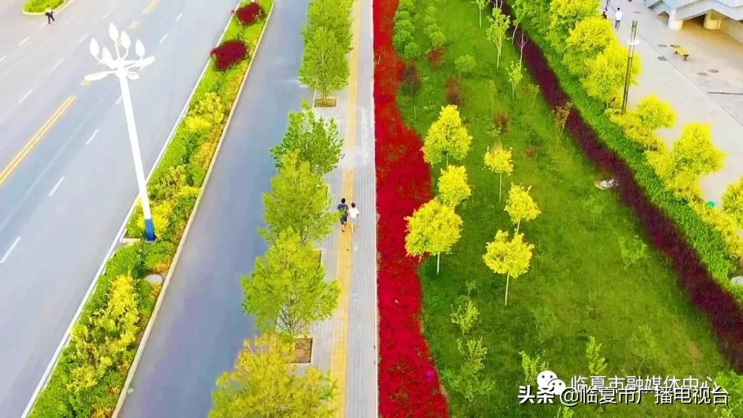 奔跑吧健身,奔跑吧健康