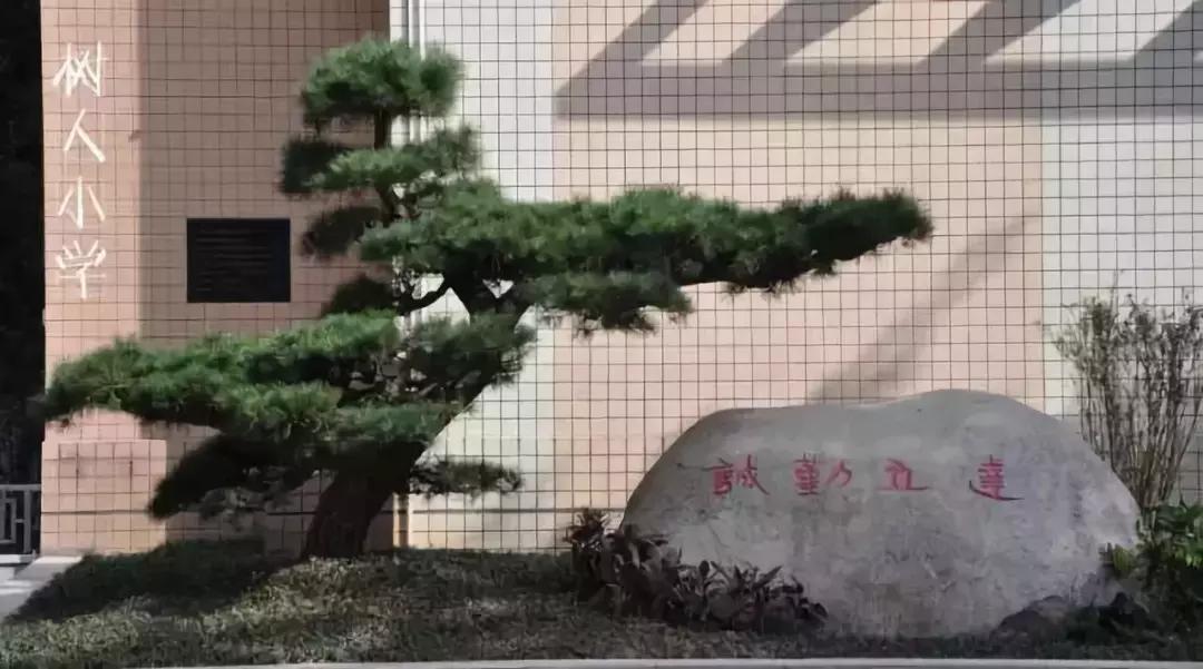 2023年重庆小学排名,重庆两路口小学跟鹅岭小学哪个好