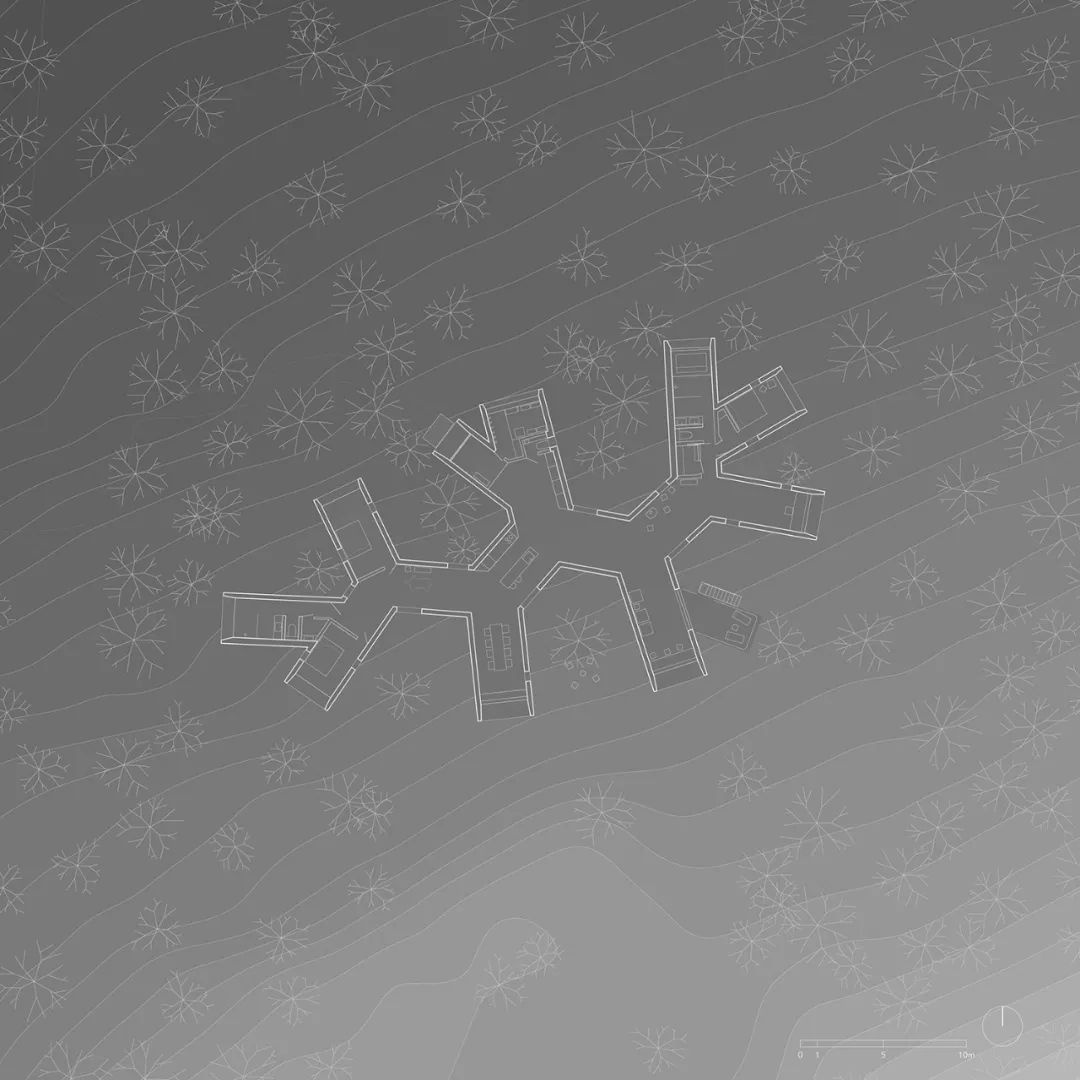 森林屋建筑,林中木屋建筑