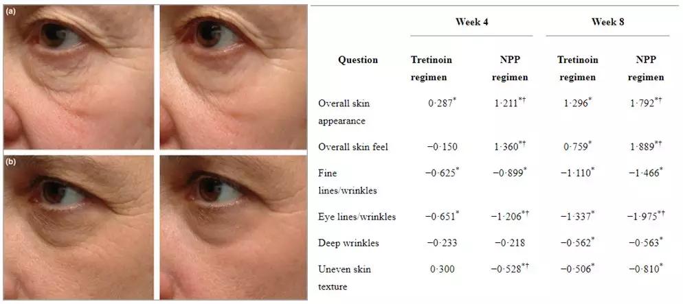 关于这个神仙成分，你不能不知道的秘密