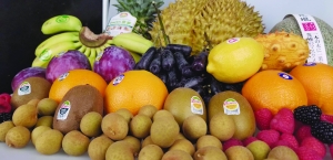 北京批发商贸城转型之路,批发零售行业改造