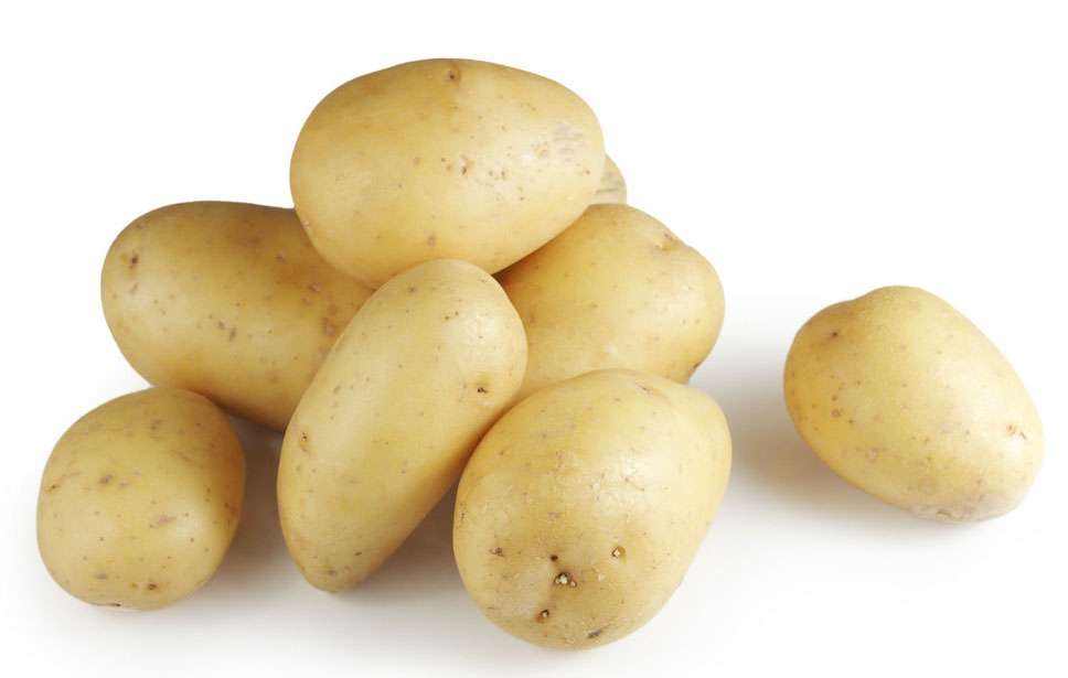 减肥吃什么米当主食,减肥主食食谱一览表