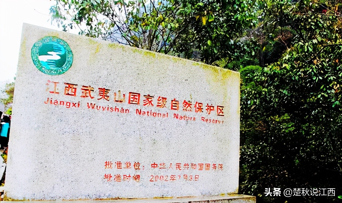 江西武陵红茶,江西最好的红茶