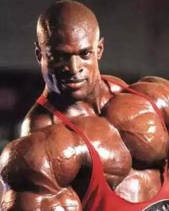 素蛋粉是什么,蛋白粉是不是黄豆粉