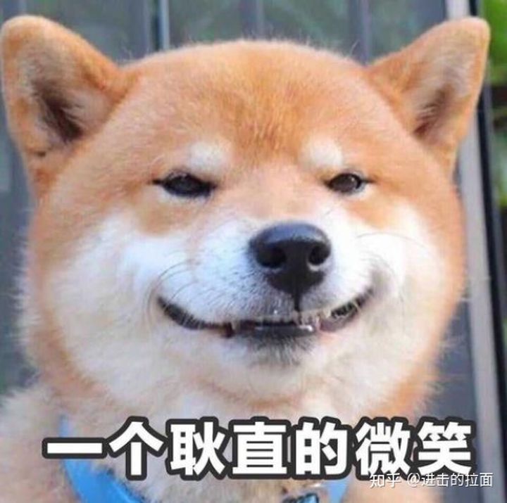 破壁机哪个品牌性价比最高还便宜,选哪种牌的破壁机好一点