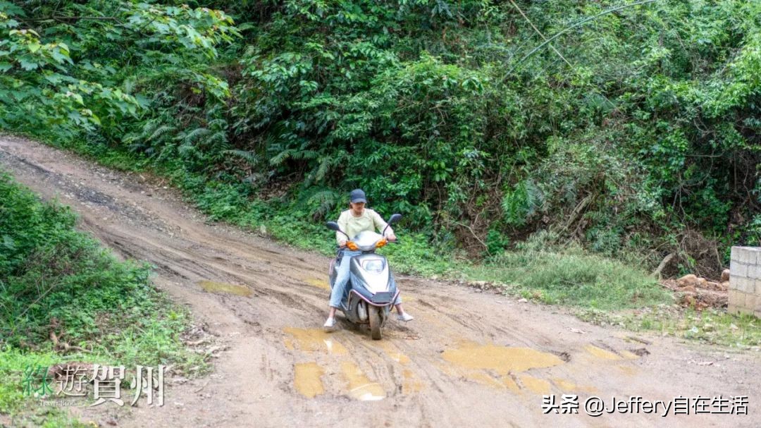 拍贺州｜莲塘镇大山深处的“一号基地”