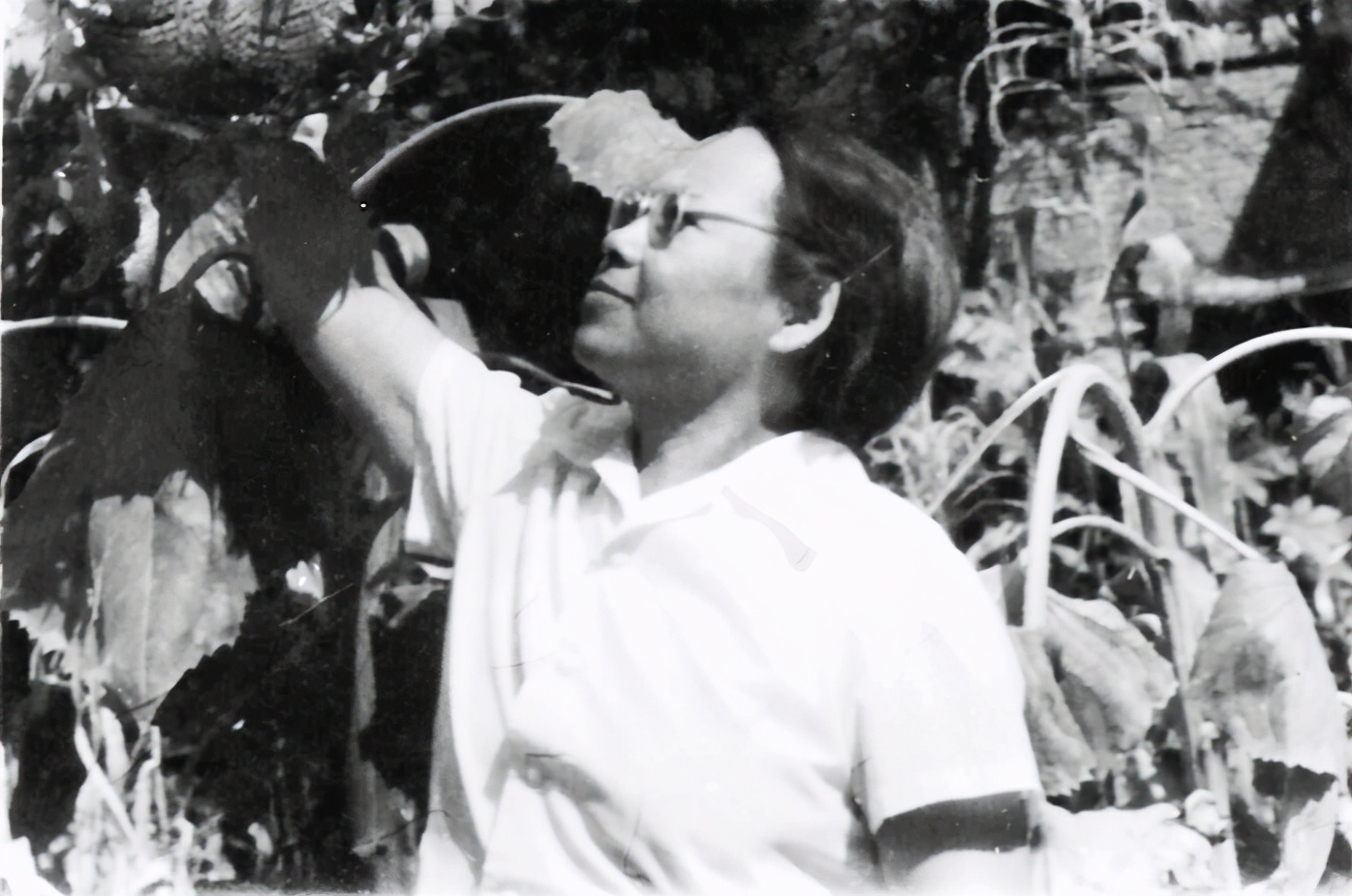 五大道小学,五大道片区小学