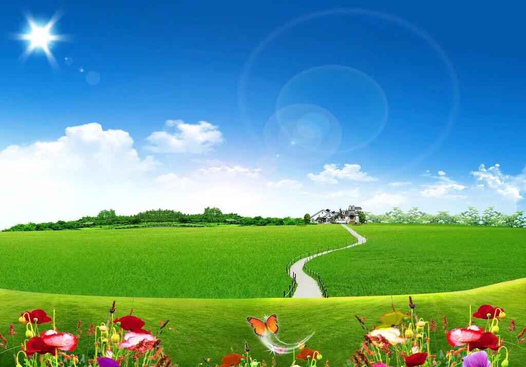 swisse护肝液体什么时候喝最好,国外护肝神药swisse有什么