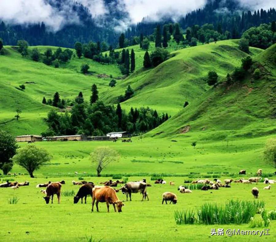 阿根廷共和国目前国情,阿根廷共和国是什么党派