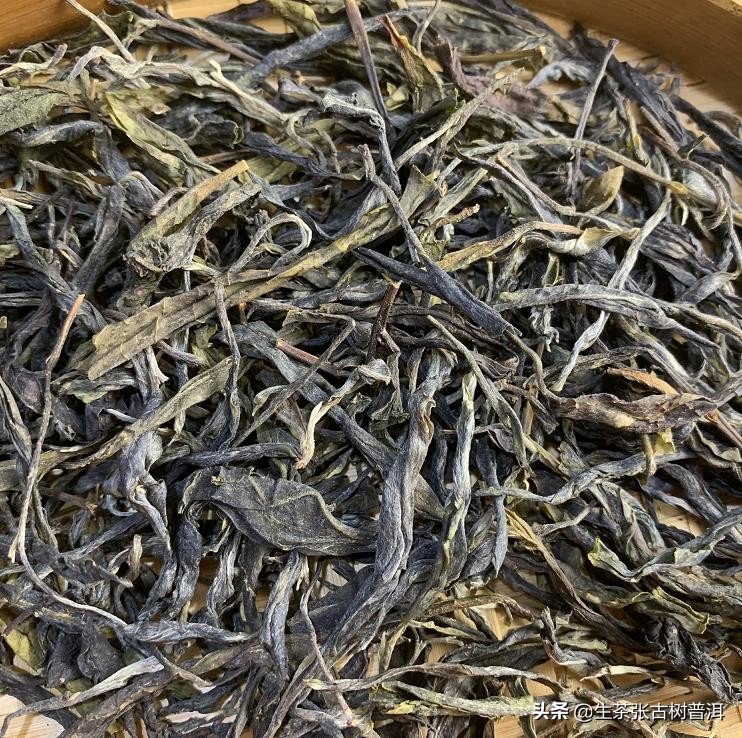 小户赛和昔归的口感区别,昔归普洱茶是哪个产区