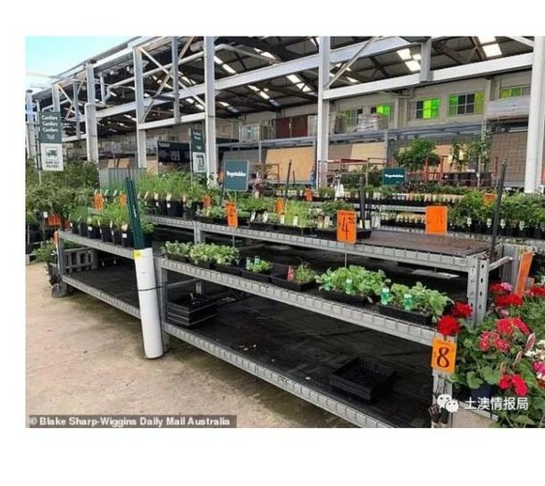 nonono猫原视频,德国bozo卫生间厕纸盒壁挂式