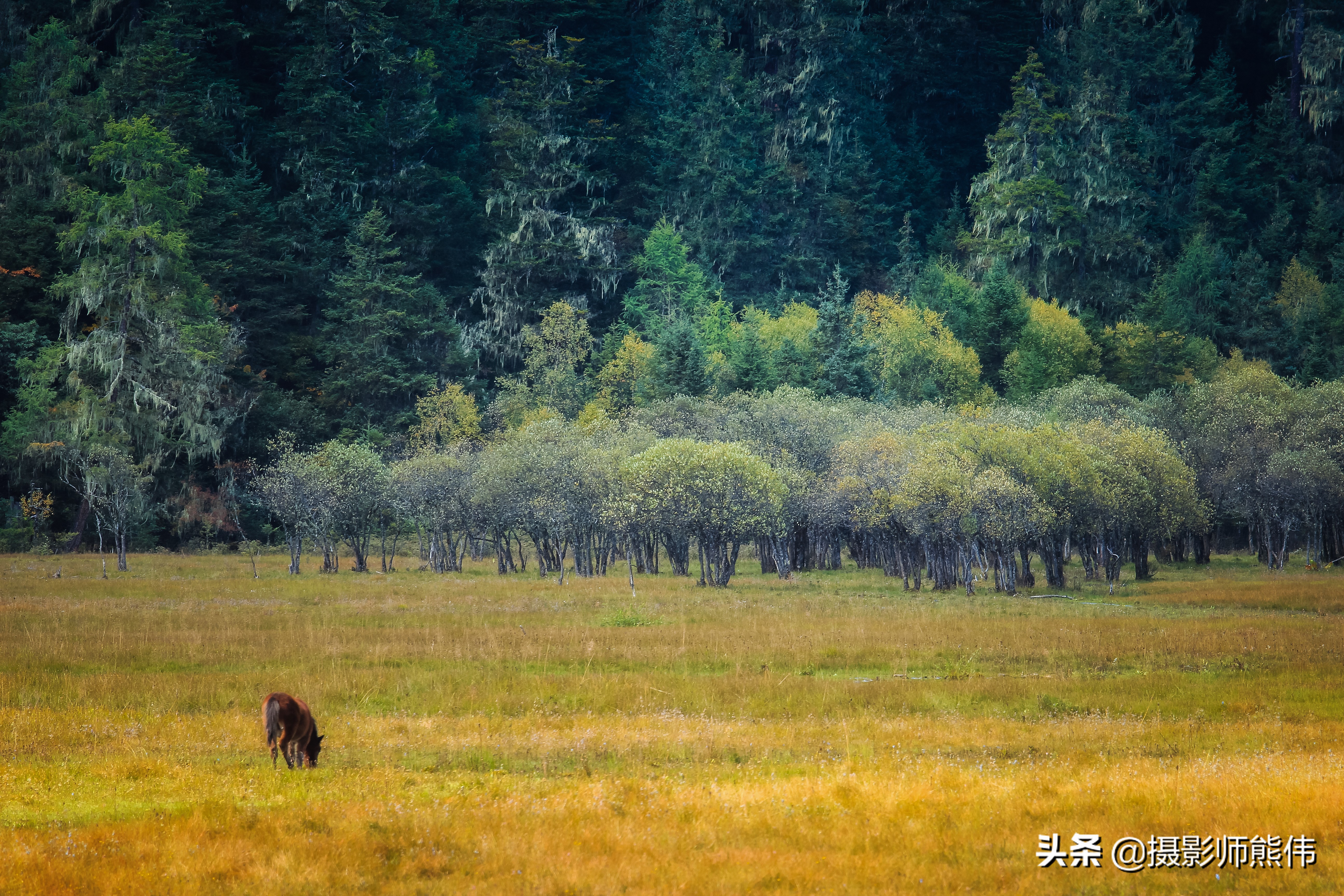 美丽静谧的香格里拉,香格里拉极境之美