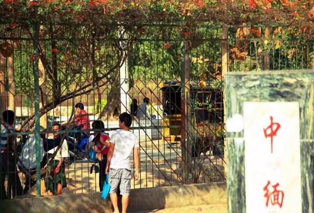 云南十大公路自驾游,云南自驾5条最佳线路图