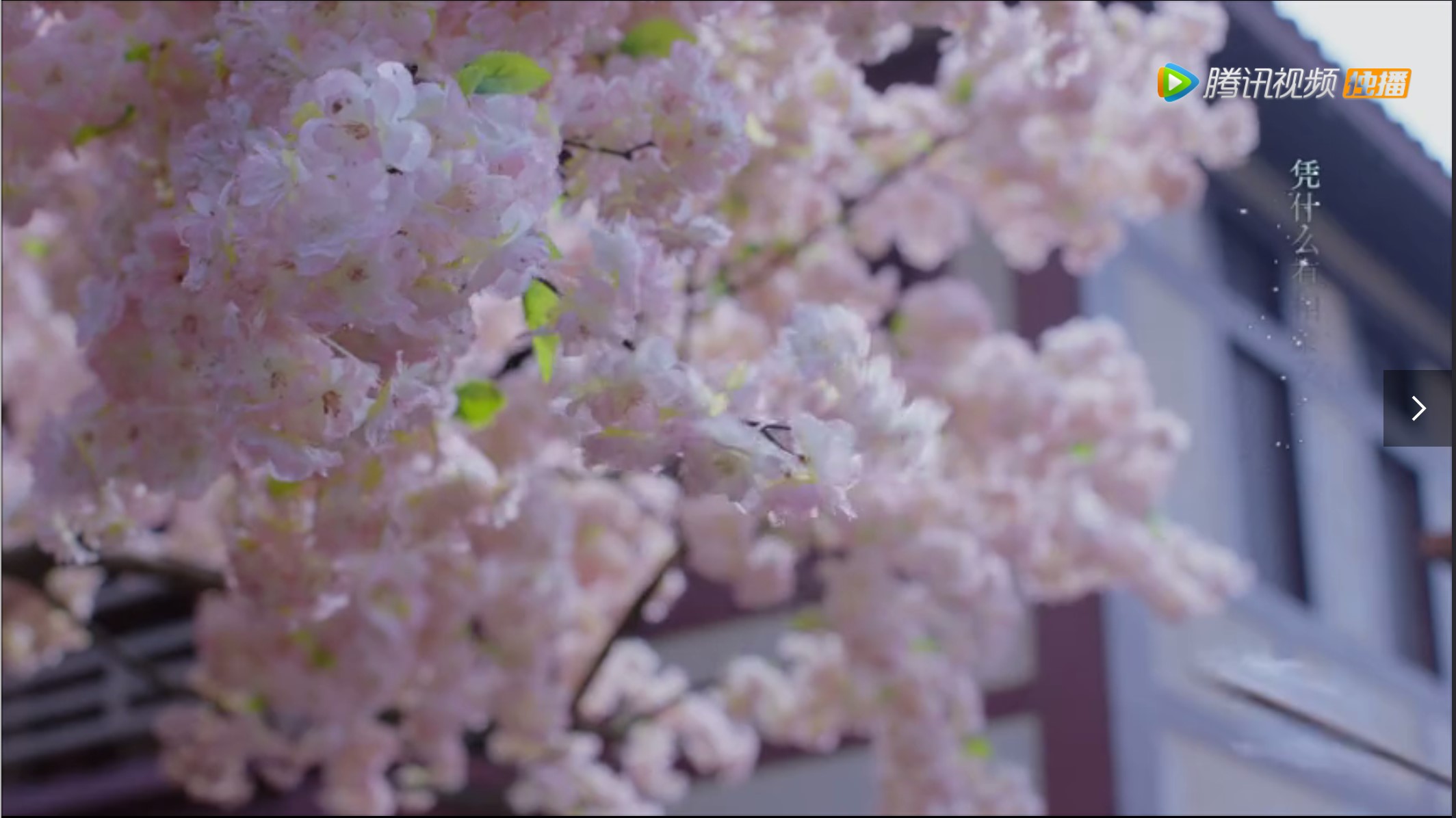 明月照我心正版,明月照我心甜剧