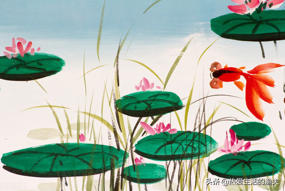 草金鱼长时间不喂食会饿死吗,草金鱼不喂食会不会饿死