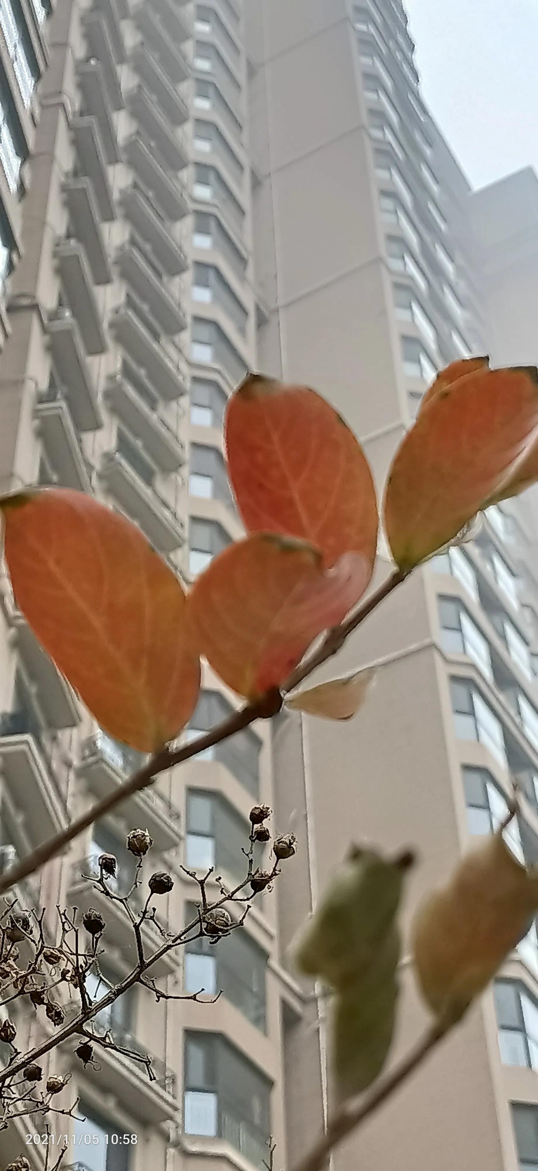 达则兼济天下穷则独善其身,达则兼济天下穷则独善其身素材