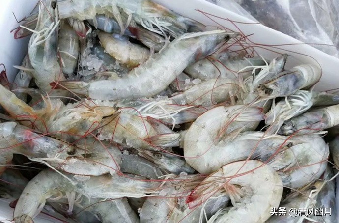 鲜虾冷冻虾头怎么处理,鲜虾千万不要直接冷冻